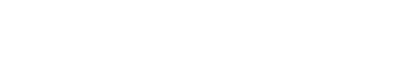 CarpetCapital